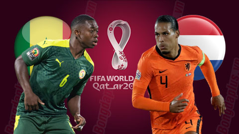 Nhận định bóng đá Senegal vs Hà Lan, 23h00 ngày 21/11