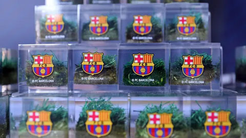 Barca bán… cỏ gây quỹ cải tạo sân Camp Nou